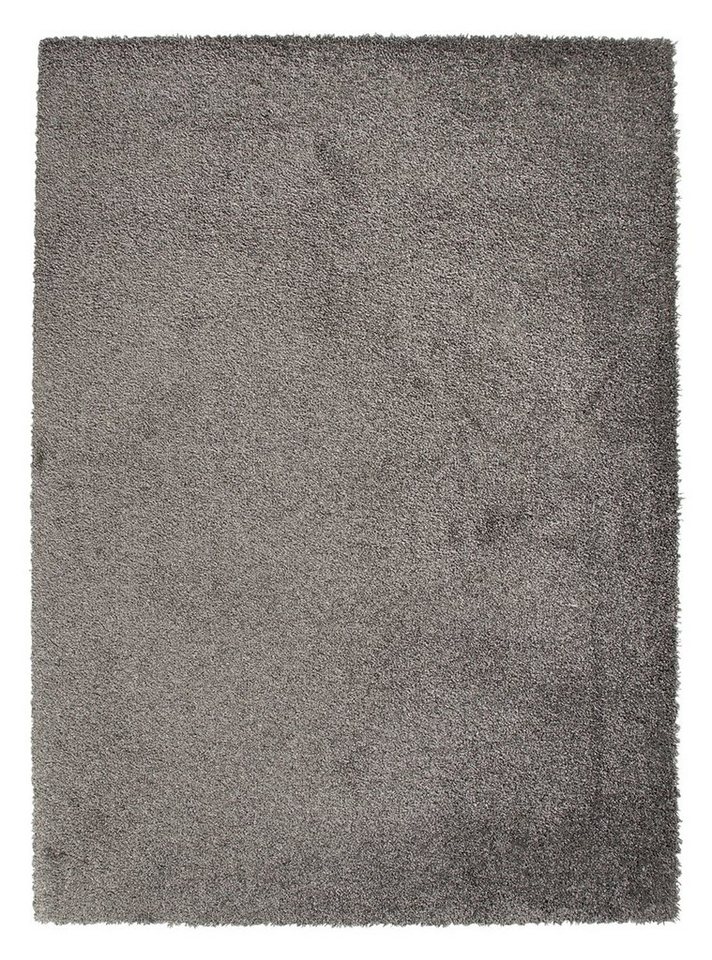 Teppich DELIGHT COSY, Polypropylen, Grau, 80 x 150 cm, Balta Rugs, rechteckig, Höhe: 22 mm von Balta Rugs