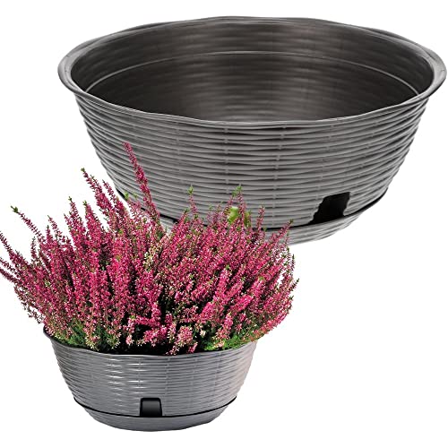 Bama Spa Pflanzschale Blumenschale Untersetzer Rattan Optik Kunststoff Friedhof Garten Anthrazit 40 cm von bama