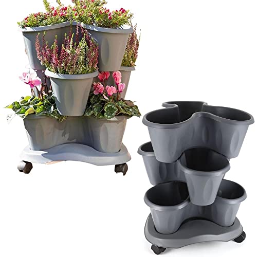 Bama Spa Säulentopf Set stapelbar 3 Ebenen Pflanz Blumen Kräuter Topf Etagere 3er Roller Grau von bama