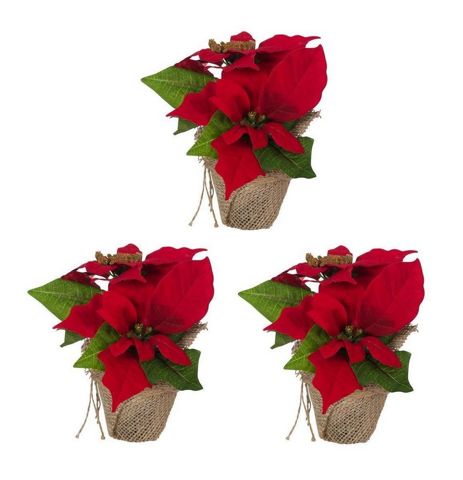 Winterliche Kunstpflanze 3 Stk. Weihnachtsstern Künstlich Christstern Poinsettie Dekoblume Rot, Bambelaa! Winterliche Kunstpflanze 3 Stk. Weihnachtsstern Künstlich Christstern Poinsettie Dekoblume Rot, Bambelaa! von Bambelaa!