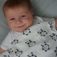 Panda Swaddle Decke Aus 100 % Bio-Baumwolle Muslin. | Extra Groß 47 "x 47" von BambinoLand