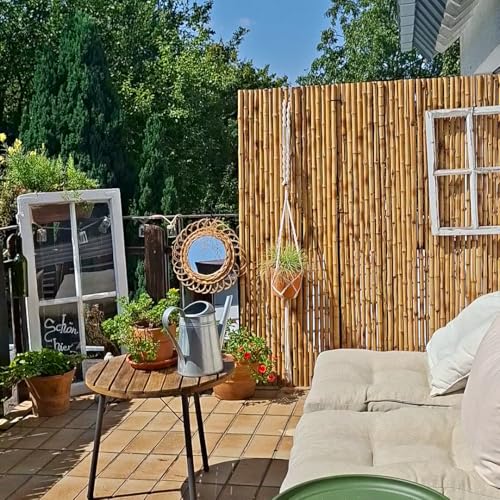 Heller Bambus Sichtschutz Cendani, Rollzaun für Garten und Terrasse, verschiedene Maße (H: 120 cm x B: 200 cm) von Bamboona