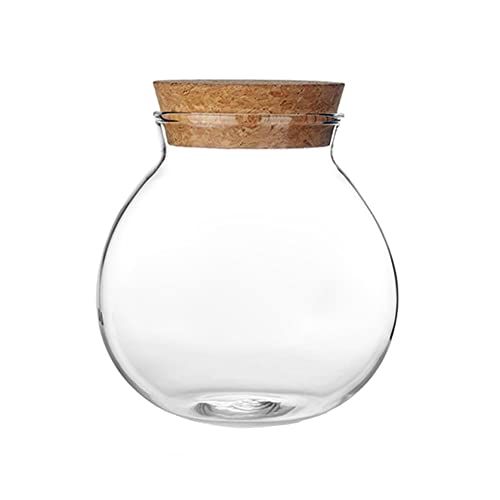Bamboopack 1 Stück 500 ml transparente runde versiegelte Glasflaschen mit Korkverschluss Blumen-Tee-Vorratsdosen für Süßigkeiten, Kekse, Schokoladenbohnen von Bamboopack