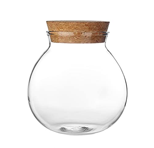 Bamboopack 1 x 500 ml runde transparente Glasdose mit Korkverschluss für Gewürze, Lebensmittel, Snacks, Blumen, Tee, Süßigkeiten, Gewürze und mehr von Bamboopack