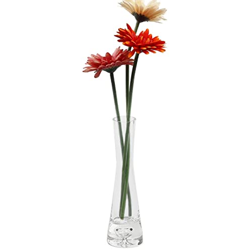 Transparente kleine Glasvase, konisch, kleine Taille, dicker Boden, Vasen für Blumen, Heimdekoration von Bamboopack