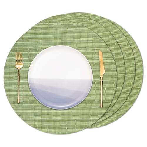 Banchif Tischsets Rund, Tischsets Abwaschbar 4er Set Platzdeckchen PVC Rund rutschfest Platzsets Abwischbar Gewebte Vinyl Platzsets Durchmesser 38 cm, Grün Banchif Tischsets Rund, Tischsets Abwaschbar 4er Set Platzdeckchen PVC Rund rutschfest Platzsets Abwischbar Gewebte Vinyl Platzsets Durchmesser 38 cm, Grün von Banchif
