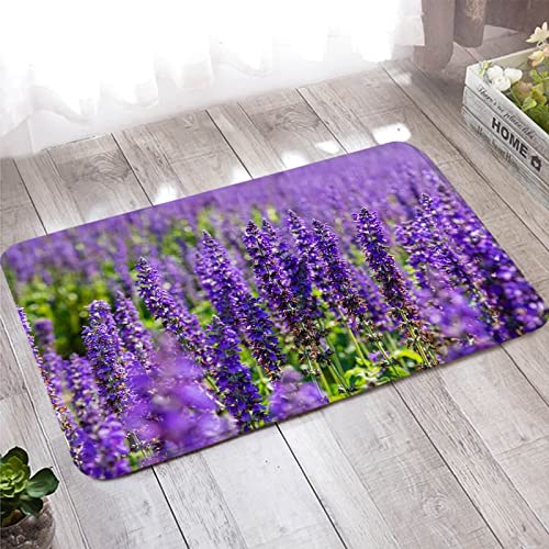 Banemi Abtreter Fußmatte Außen, Teppich Klein 40X60cm Lila Grün Lavendel Muster für Schuhschaber, Ideal für den Innenbereich von Banemi