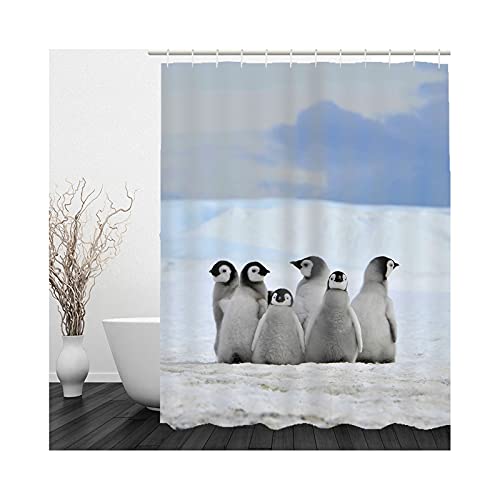 Banemi Duschvorhang Lang, Duschvorhänge Textil Grau Blau Gletscher Pinguin Polyestergewebe 180X200cm für Eck Dusche mit 12 Duschvorhangringen von Banemi