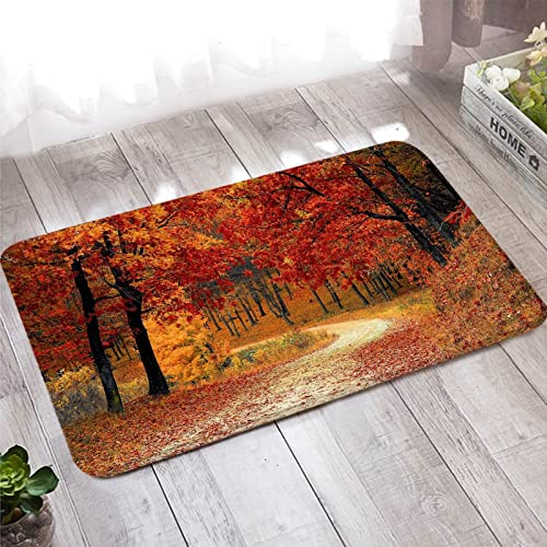 Banemi Teppich Antirutschunterlage, Fußmatte Außen 60X90cm Rot Orange Ahornbaumpfad für Wohnzimmer Schlafzimmer Banemi Teppich Antirutschunterlage, Fußmatte Außen 60X90cm Rot Orange Ahornbaumpfad für Wohnzimmer Schlafzimmer von Banemi