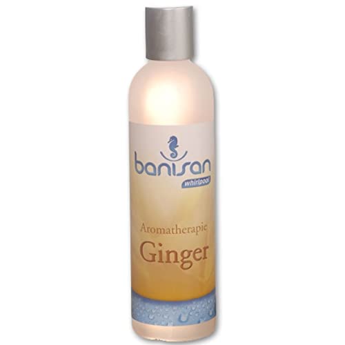 Banisan Bade- u. Whirlpoolzusatz Ginger 250 ml Aromatherapie mit Ingwerduft Whirlpoolduft von Banisan