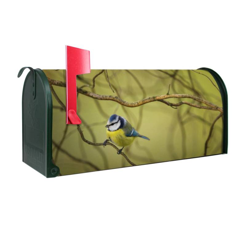 Banjado Amerikanischer Briefkasten Grün 48x22x16cm US Mailbox Letterbox Postkasten Stahl Pulverbeschichtet Motiv Blaumeise Im Baum von Banjado