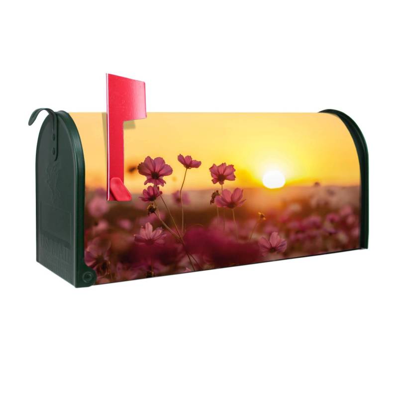 Banjado Amerikanischer Briefkasten Grün 48x22x16cm US Mailbox Letterbox Postkasten Stahl Pulverbeschichtet Motiv Cosmea Feld Banjado Amerikanischer Briefkasten Grün 48x22x16cm US Mailbox Letterbox Postkasten Stahl Pulverbeschichtet Motiv Cosmea Feld von Banjado