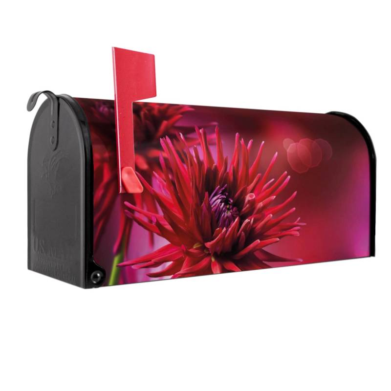 Banjado Amerikanischer Briefkasten Schwarz 48x22x16cm US Mailbox Letterbox Postkasten Stahl Pulverbeschichtet Motiv Rote Dahlien Banjado Amerikanischer Briefkasten Schwarz 48x22x16cm US Mailbox Letterbox Postkasten Stahl Pulverbeschichtet Motiv Rote Dahlien von Banjado