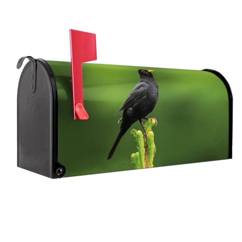 Banjado Amerikanischer Briefkasten Schwarz 48x22x16cm US Mailbox Letterbox Postkasten Stahl Pulverbeschichtet Motiv Vogel Auf Tannenzweig von Banjado