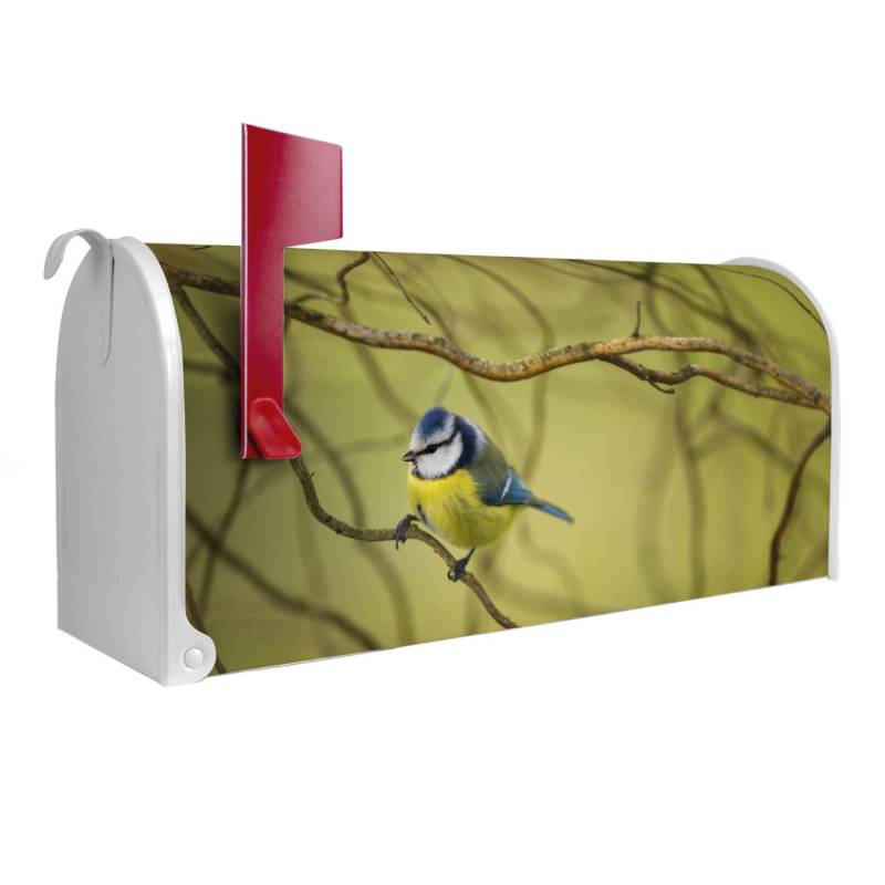 Banjado Amerikanischer Briefkasten Weiß 48x22x16cm US Mailbox Letterbox Postkasten Stahl Pulverbeschichtet Motiv Blaumeise Im Baum von Banjado