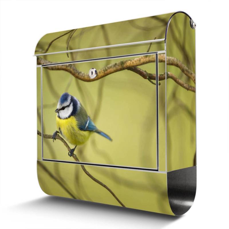 Banjado Briefkasten Edelstahl 38x43x12.5cm Rostfrei Mit Zeitungsfach Mit Motiv Motiv Blaumeise Im Baum von Banjado