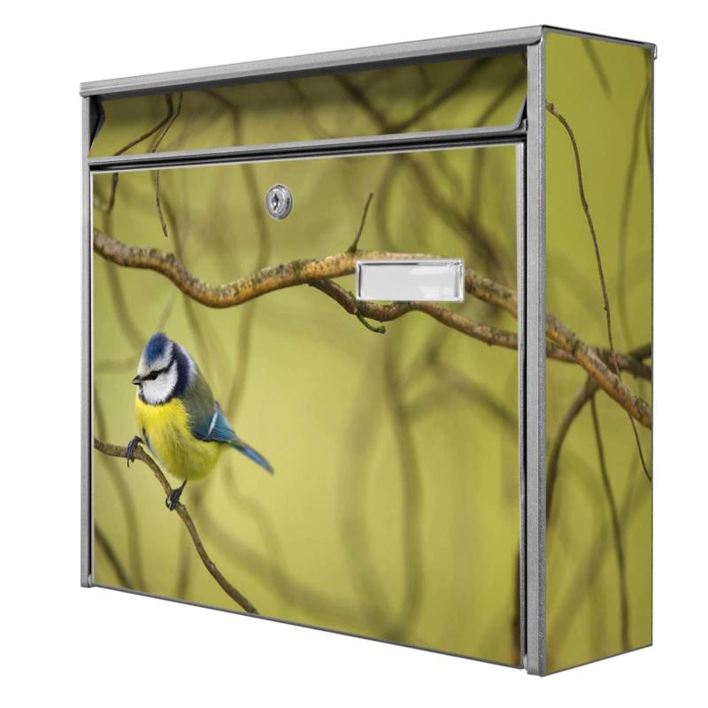 Banjado Briefkasten Silber 36.2x32.2x10cm Groß / Inkl. Montagematerial & 2 Schlüsseln / Mit Namensschild Motiv Blaumeise Im Baum von Banjado
