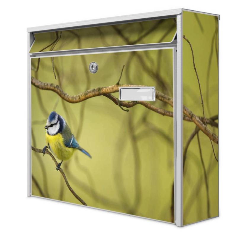 Banjado Briefkasten Weiß 36.2x32.2x10cm Groß / Inkl. Montagematerial & 2 Schlüsseln / Mit Namensschild Motiv Blaumeise Im Baum von Banjado