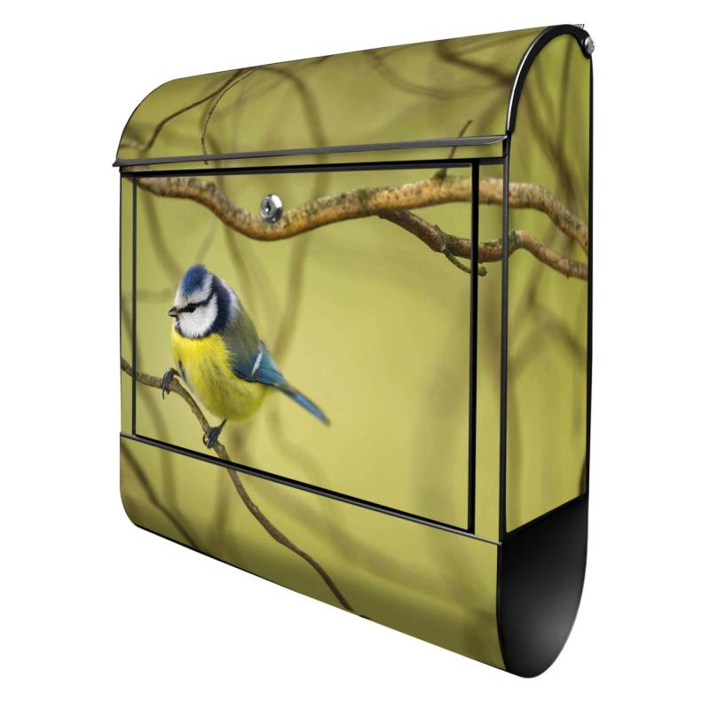 Banjado Briefkasten Anthrazit 37x37x10.5cm Groß / Inkl. Montagematerial & 2 Schlüsseln Motiv Nordseestrand Banjado Briefkasten Anthrazit 37x37x10.5cm Groß / Inkl. Montagematerial & 2 Schlüsseln Motiv Nordseestrand von Banjado