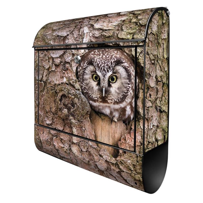 Banjado Design Briefkasten Schwarz Pulverbeschichtet, 39x47x14cm, 2 Schlüssel, Mit Zeitungsfach Motiv Eule Banjado Design Briefkasten Schwarz Pulverbeschichtet, 39x47x14cm, 2 Schlüssel, Mit Zeitungsfach Motiv Eule von Banjado