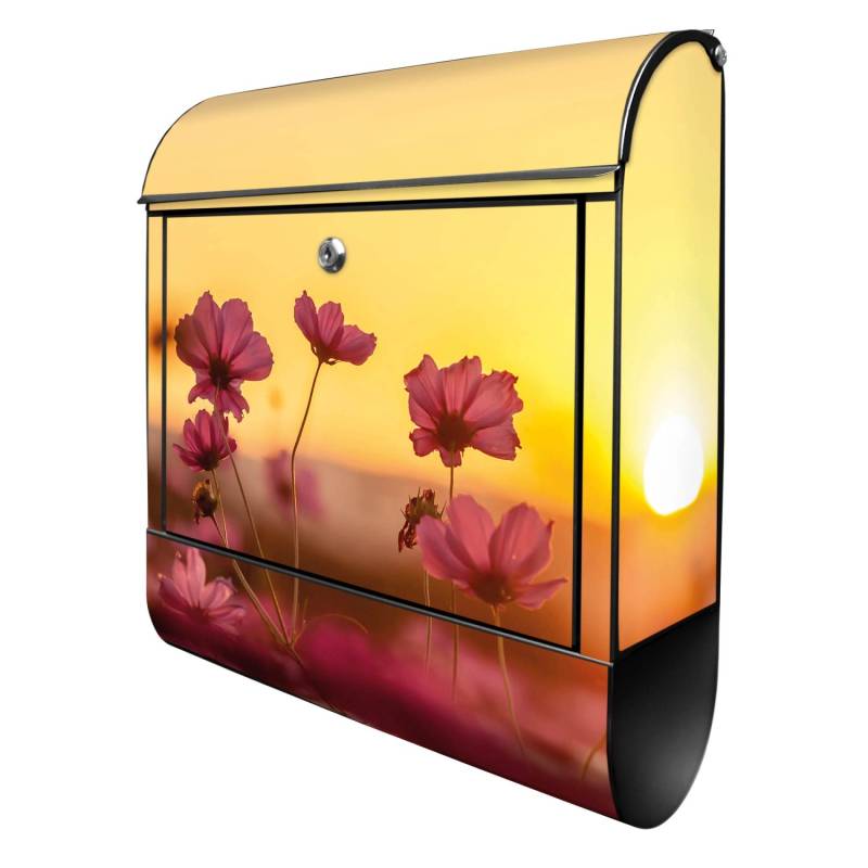 Banjado Design Briefkasten Schwarz Pulverbeschichtet 39x47x14cm 2 Schlüssel Mit Zeitungsfach Motiv Cosmea Feld Banjado Design Briefkasten Schwarz Pulverbeschichtet 39x47x14cm 2 Schlüssel Mit Zeitungsfach Motiv Cosmea Feld von Banjado