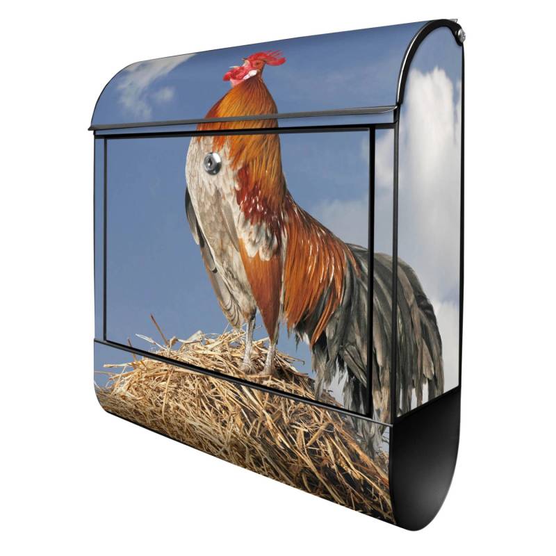 Banjado Design Briefkasten Schwarz Pulverbeschichtet 39x47x14cm 2 Schlüssel Mit Zeitungsfach Motiv Hahn Banjado Design Briefkasten Schwarz Pulverbeschichtet 39x47x14cm 2 Schlüssel Mit Zeitungsfach Motiv Hahn von Banjado