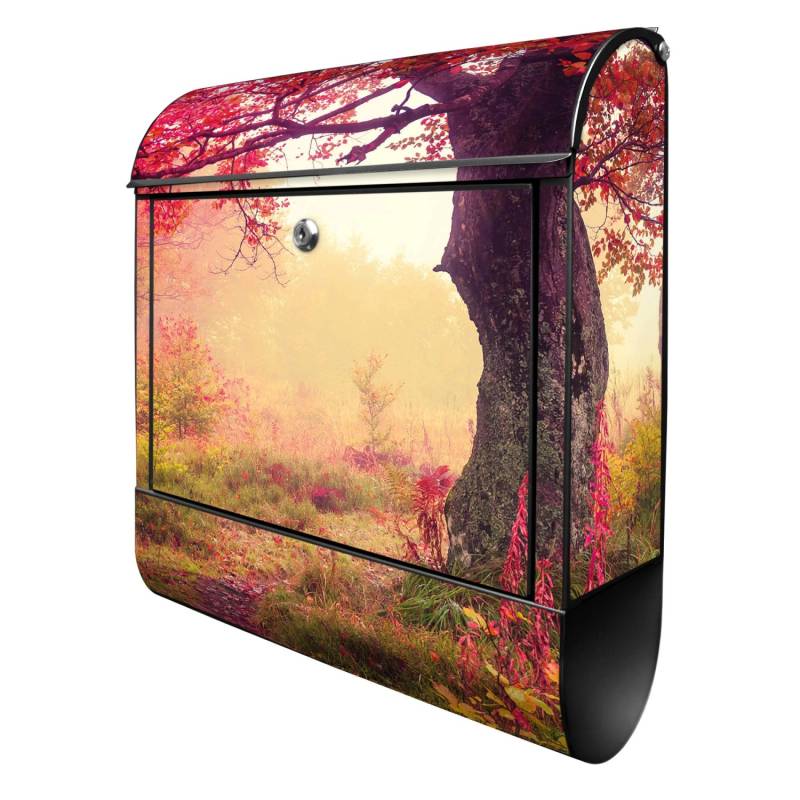 Banjado Design Briefkasten Schwarz Pulverbeschichtet 39x47x14cm 2 Schlüssel Mit Zeitungsfach Motiv Lichtung Im Herbst Banjado Design Briefkasten Schwarz Pulverbeschichtet 39x47x14cm 2 Schlüssel Mit Zeitungsfach Motiv Lichtung Im Herbst von Banjado