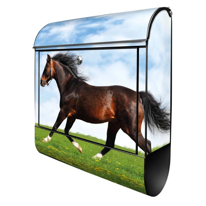 Banjado Design Briefkasten Schwarz Pulverbeschichtet 39x47x14cm 2 Schlüssel Mit Zeitungsfach Motiv Pferd Banjado Design Briefkasten Schwarz Pulverbeschichtet 39x47x14cm 2 Schlüssel Mit Zeitungsfach Motiv Pferd von Banjado