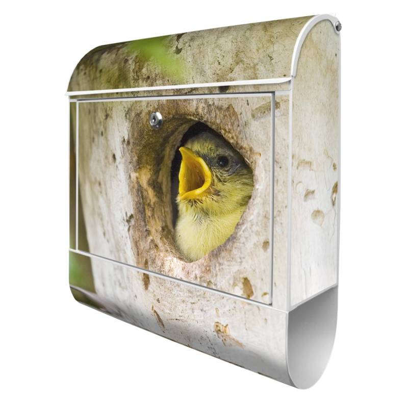 Banjado Design Briefkasten Silber Pulverbeschichtet, 39x47x14cm, 2 Schlüssel, Mit Zeitungsfach Motiv Blaumeise Banjado Design Briefkasten Silber Pulverbeschichtet, 39x47x14cm, 2 Schlüssel, Mit Zeitungsfach Motiv Blaumeise von Banjado