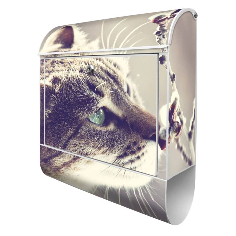 Banjado Design Briefkasten Silber Pulverbeschichtet, 39x47x14cm, 2 Schlüssel, Mit Zeitungsfach Motiv Weidenkätzchen Banjado Design Briefkasten Silber Pulverbeschichtet, 39x47x14cm, 2 Schlüssel, Mit Zeitungsfach Motiv Weidenkätzchen von Banjado