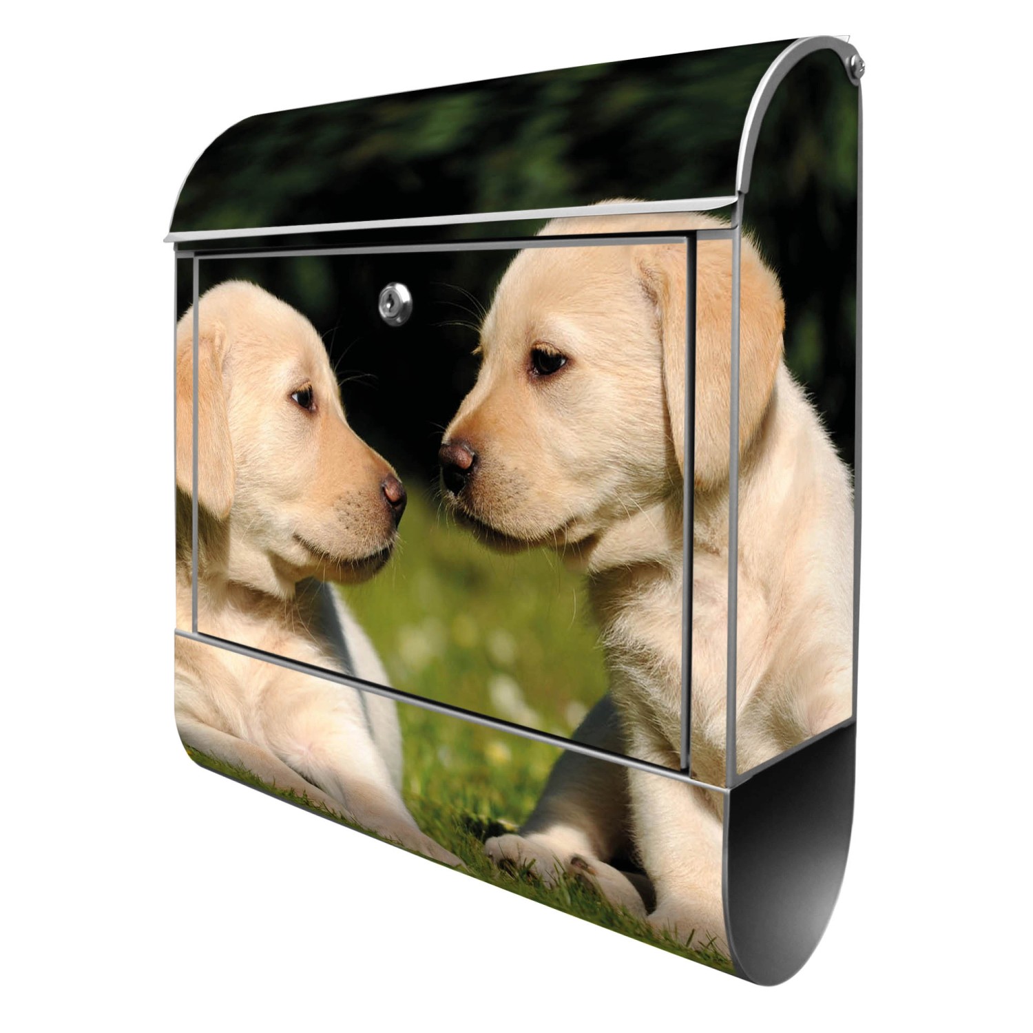Banjado Design Briefkasten Silber Pulverbeschichtet 39x47x14cm 2 Schlüssel Mit Zeitungsfach Motiv Labrador Banjado Design Briefkasten Silber Pulverbeschichtet 39x47x14cm 2 Schlüssel Mit Zeitungsfach Motiv Labrador von Banjado
