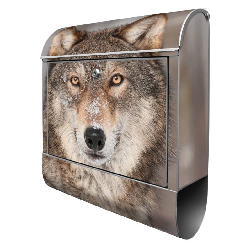 Banjado Design Briefkasten Silber Pulverbeschichtet 39x47x14cm 2 Schlüssel Mit Zeitungsfach Motiv Soraya Banjado Design Briefkasten Silber Pulverbeschichtet 39x47x14cm 2 Schlüssel Mit Zeitungsfach Motiv Soraya von Banjado