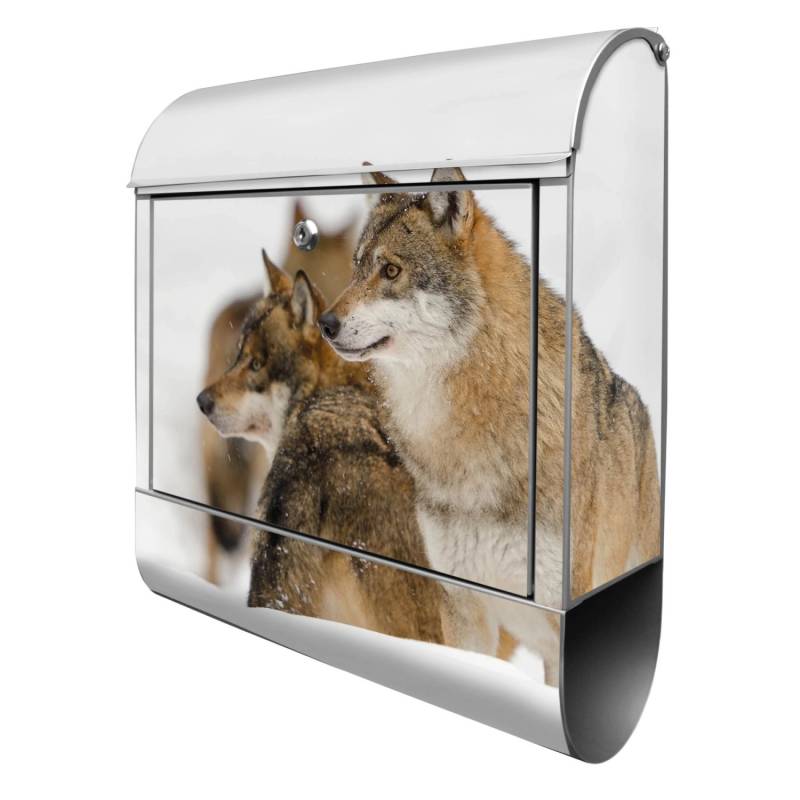Banjado Design Briefkasten Silber Pulverbeschichtet 39x47x14cm 2 Schlüssel Mit Zeitungsfach Motiv Wölfe Banjado Design Briefkasten Silber Pulverbeschichtet 39x47x14cm 2 Schlüssel Mit Zeitungsfach Motiv Wölfe von Banjado