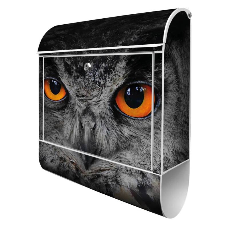 Banjado Design Briefkasten Weiß Pulverbeschichtet, 39x47x14cm, 2 Schlüssel, Mit Zeitungsfach Motiv Uhu Banjado Design Briefkasten Weiß Pulverbeschichtet, 39x47x14cm, 2 Schlüssel, Mit Zeitungsfach Motiv Uhu von Banjado