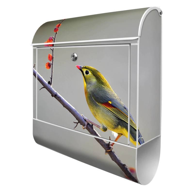 Banjado Design Briefkasten Weiß Pulverbeschichtet 39x47x14cm 2 Schlüssel Mit Zeitungsfach Motiv Herbst Vogel Banjado Design Briefkasten Weiß Pulverbeschichtet 39x47x14cm 2 Schlüssel Mit Zeitungsfach Motiv Herbst Vogel von Banjado