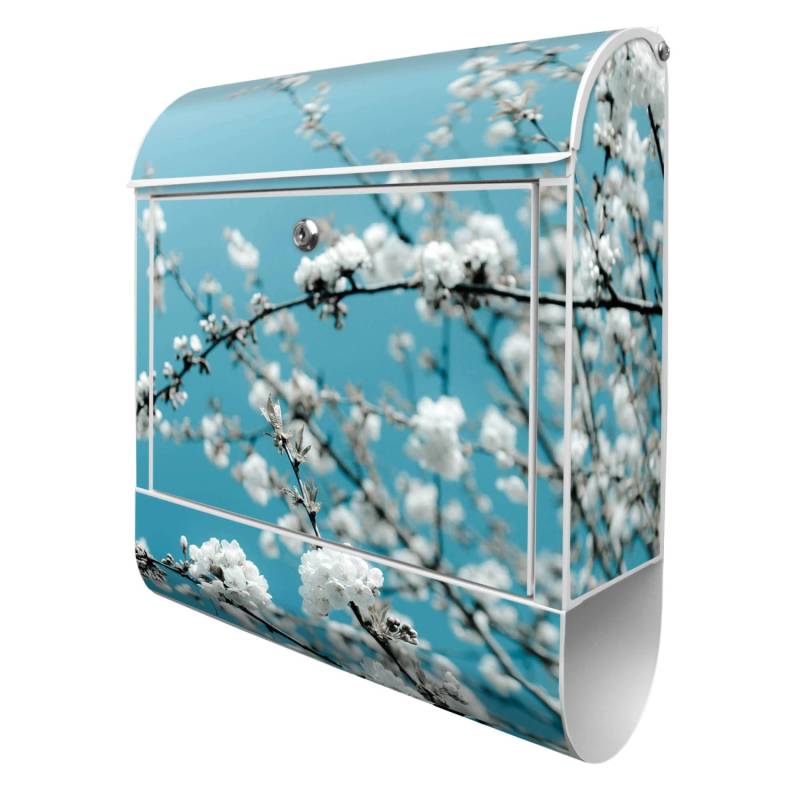 Banjado Design Briefkasten Weiß Pulverbeschichtet 39x47x14cm 2 Schlüssel Mit Zeitungsfach Motiv Weiße Kirschblüten Banjado Design Briefkasten Weiß Pulverbeschichtet 39x47x14cm 2 Schlüssel Mit Zeitungsfach Motiv Weiße Kirschblüten von Banjado