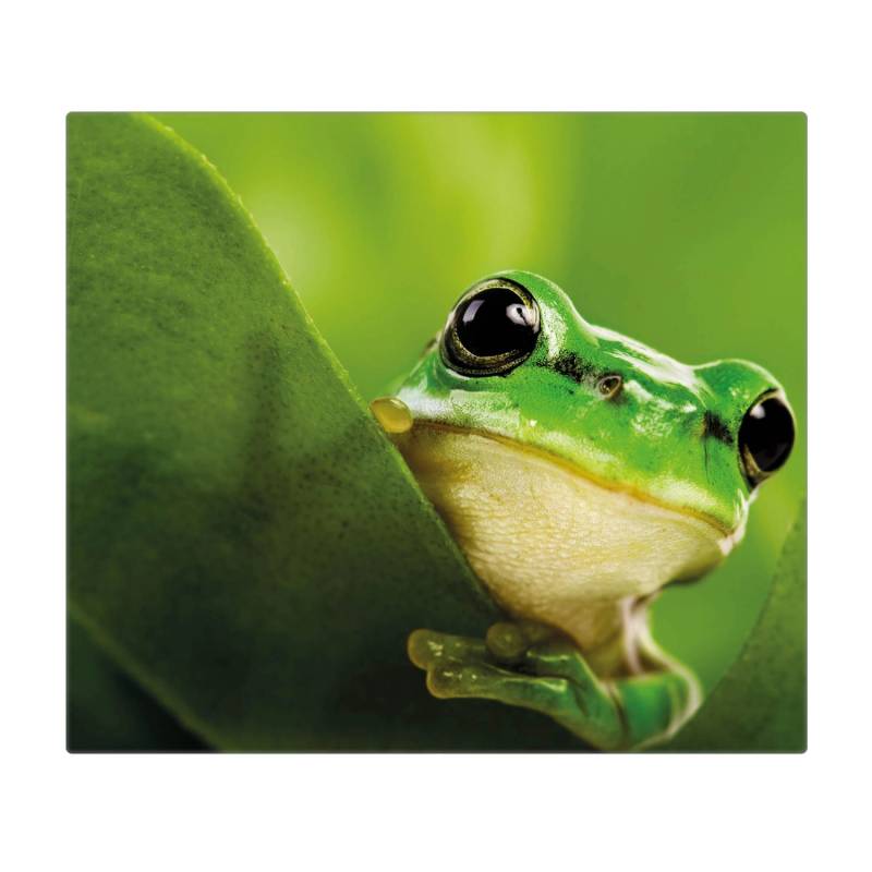 Banjado Herdabdeckplatte Glas 1 Teilig 60x52CM Schneidebrett Herdabdeckung Mit Motiv Frosch von Banjado