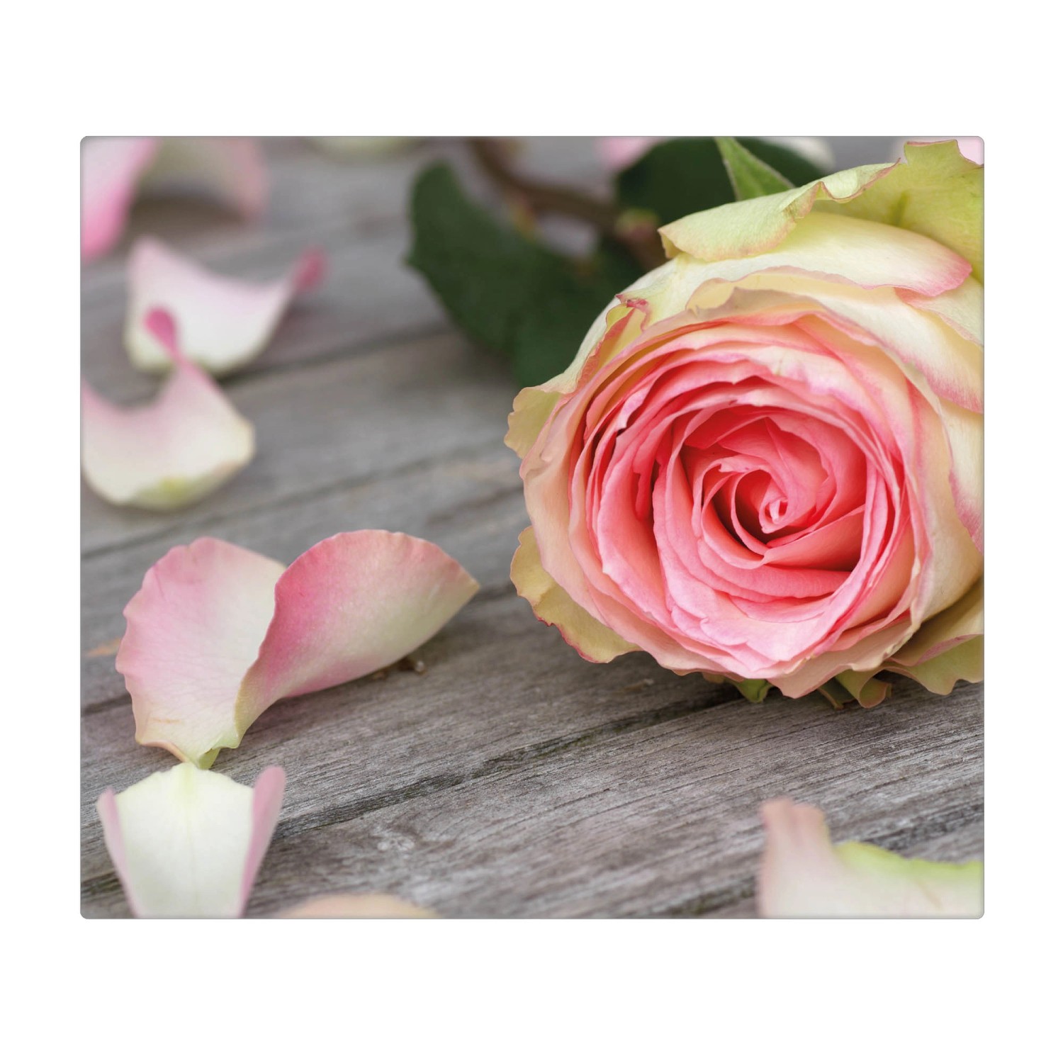 Banjado Herdabdeckplatte Glas 1 Teilig 60x52CM Schneidebrett Herdabdeckung Mit Motiv Rosa Rose Banjado Herdabdeckplatte Glas 1 Teilig 60x52CM Schneidebrett Herdabdeckung Mit Motiv Rosa Rose von Banjado