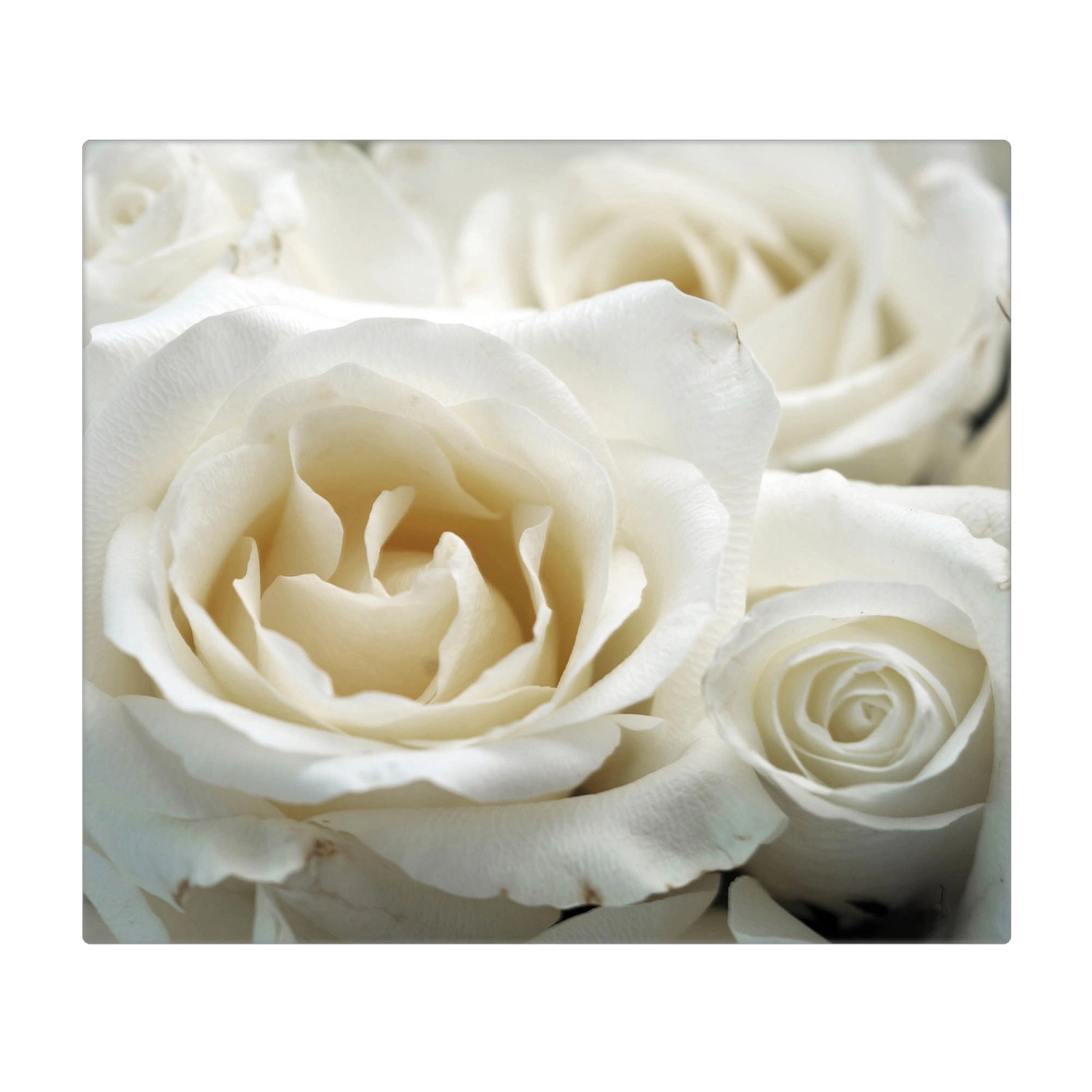 Banjado Herdabdeckplatte Glas 1 Teilig 60x52CM Schneidebrett Herdabdeckung Mit Motiv White Roses Banjado Herdabdeckplatte Glas 1 Teilig 60x52CM Schneidebrett Herdabdeckung Mit Motiv White Roses von Banjado