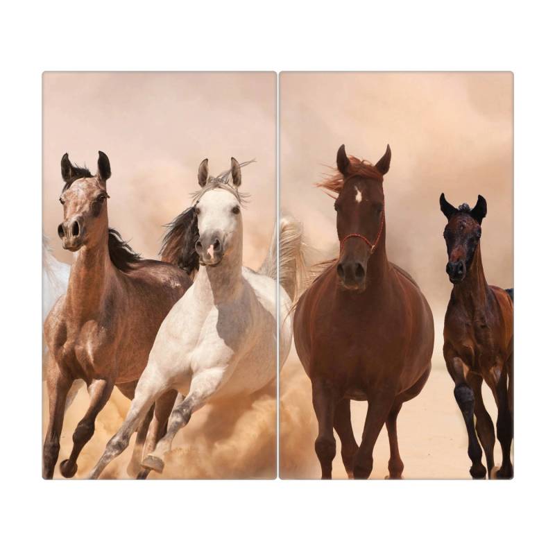 Banjado Herdabdeckplatte Glas 2 Teilig Je 30x52CM Schneidebrett Herdabdeckung Mit Motiv Mongolische Stimmung von Banjado