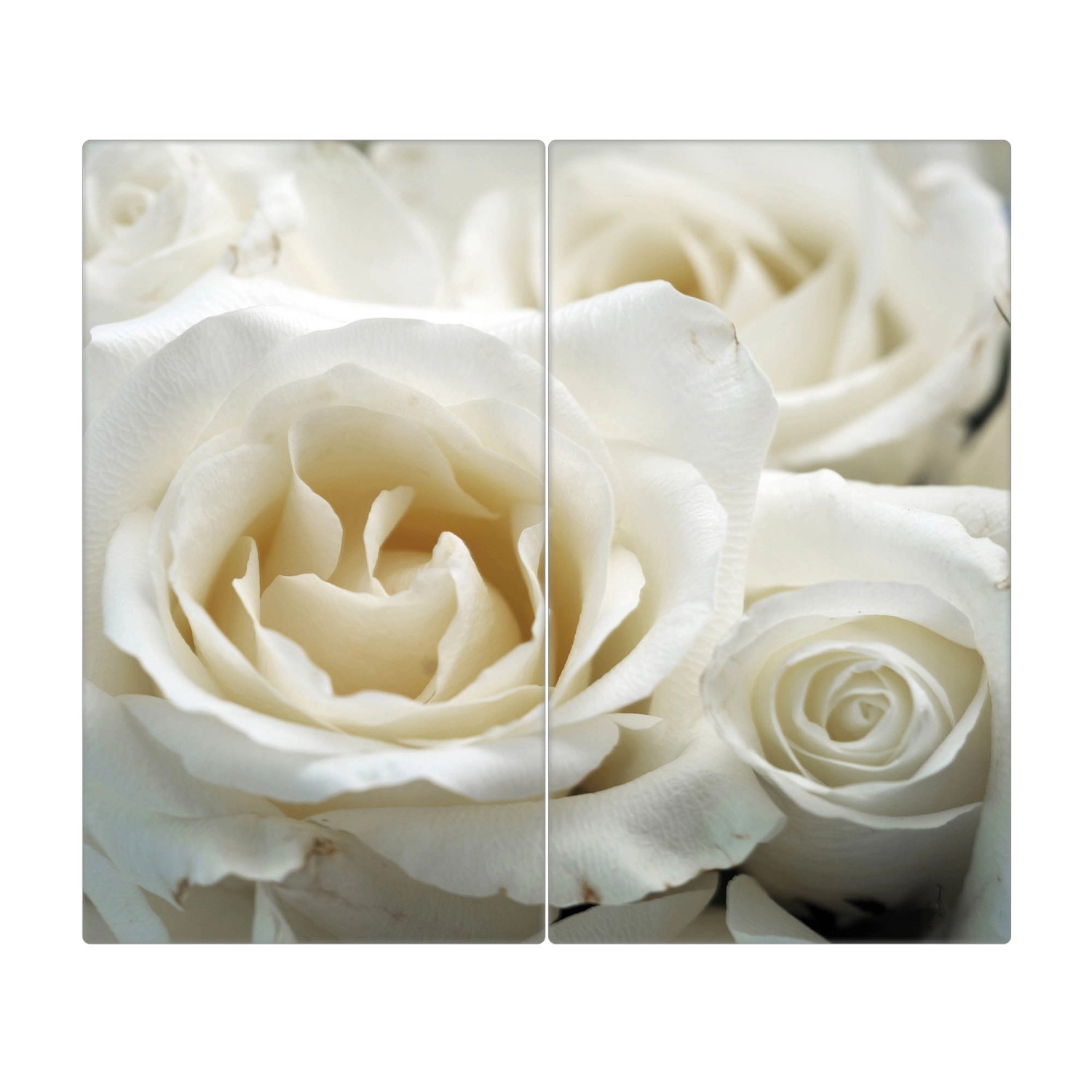 Banjado Herdabdeckplatte Glas 2 Teilig Je 30x52CM Schneidebrett Herdabdeckung Mit Motiv White Roses Banjado Herdabdeckplatte Glas 2 Teilig Je 30x52CM Schneidebrett Herdabdeckung Mit Motiv White Roses von Banjado