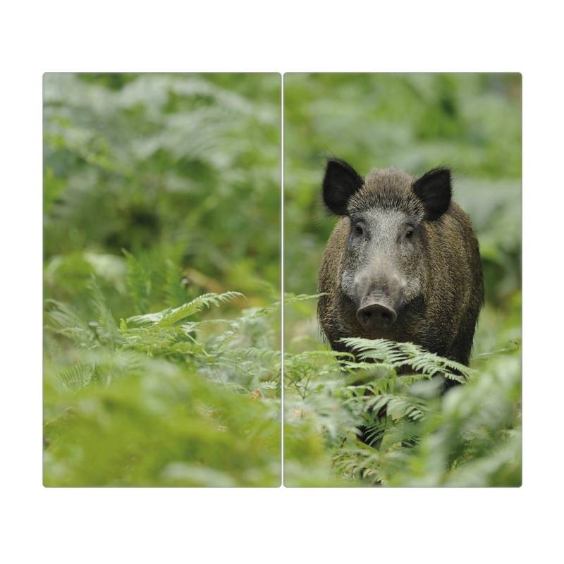 Banjado Herdabdeckplatte Glas 2 Teilig Je 30x52CM Schneidebrett Herdabdeckung Mit Motiv Wildschwein von Banjado