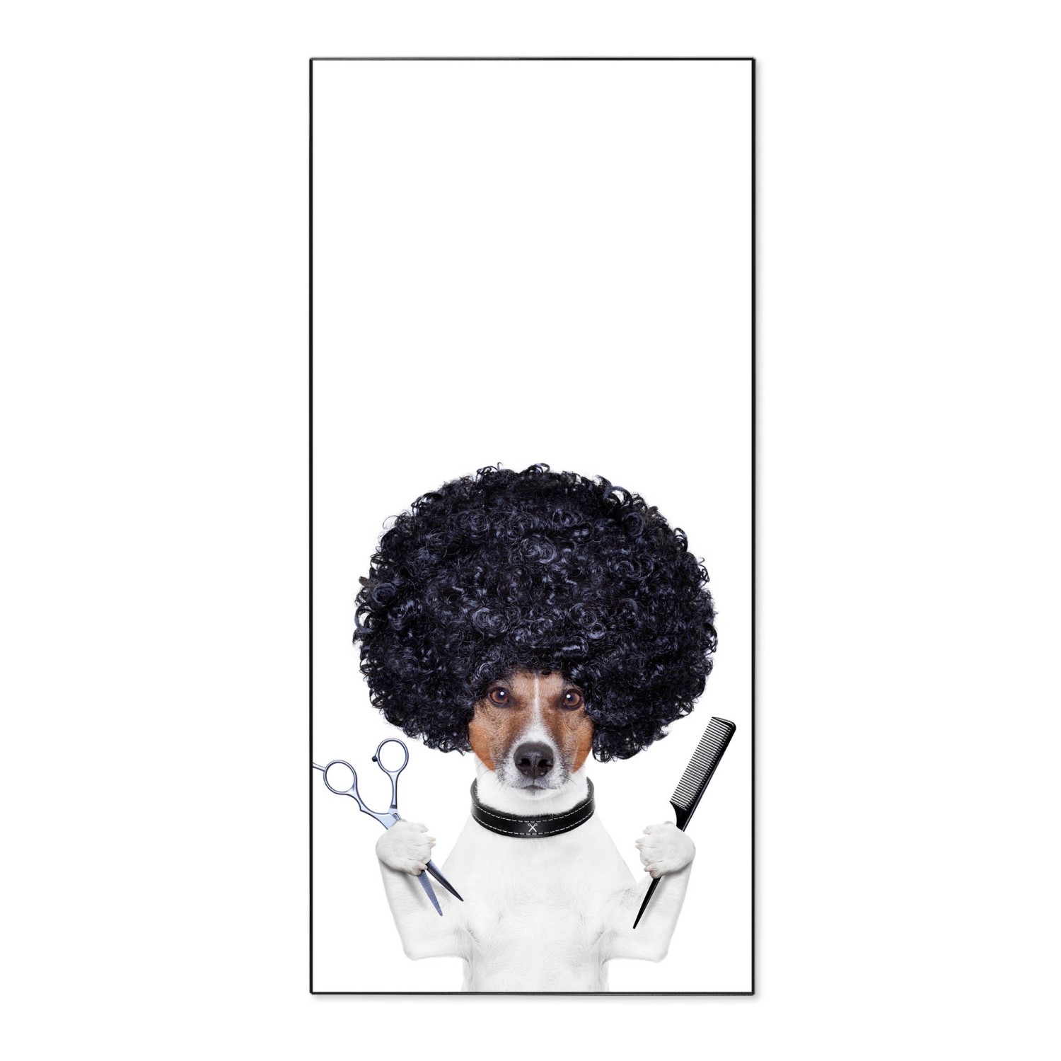 Banjado Magnettafel 37x78cm Magnetwand Schwarz Aus Metall Magnetpinnwand Pinnwand Inkl. 4 Magnete Motiv Friseur Jack Russel Banjado Magnettafel 37x78cm Magnetwand Schwarz Aus Metall Magnetpinnwand Pinnwand Inkl. 4 Magnete Motiv Friseur Jack Russel von Banjado