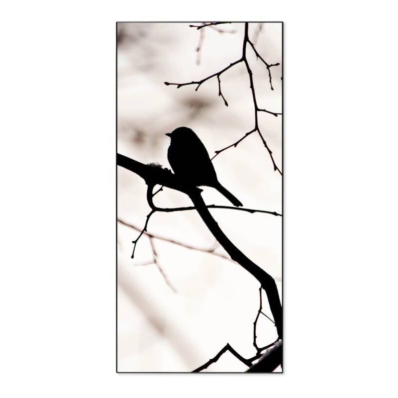 Banjado Magnettafel 37x78cm Magnetwand  Schwarz Aus Metall Magnetpinnwand Pinnwand Inkl. 4 Magnete Motiv Früher Vogel von Banjado