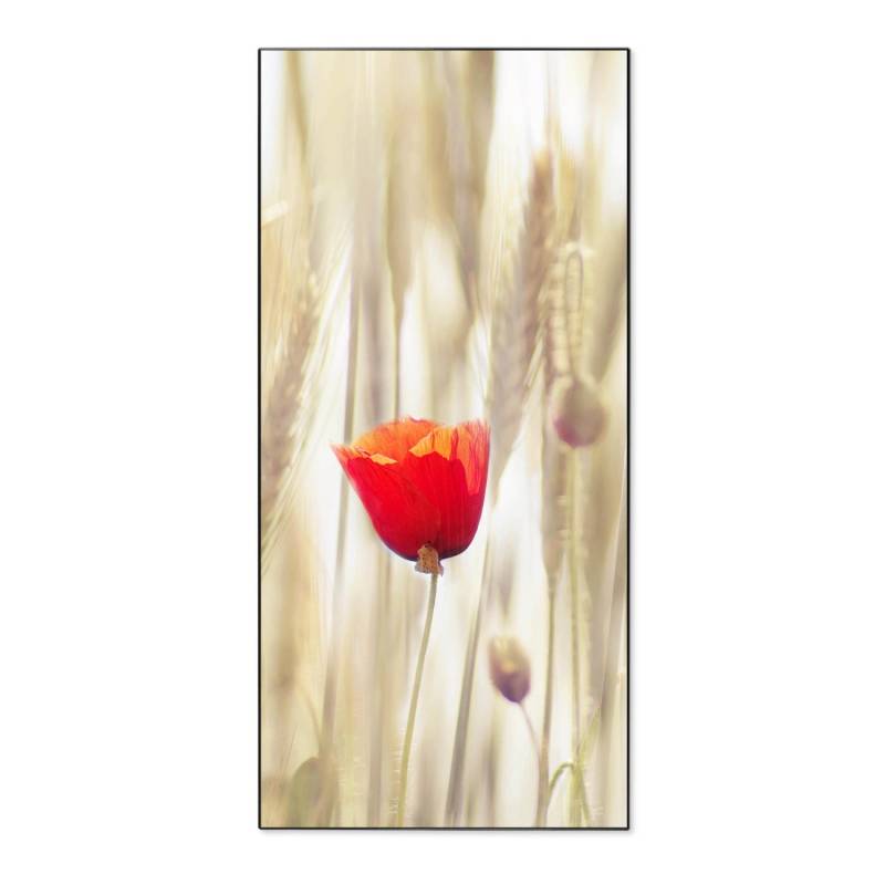 Banjado Magnettafel 37x78cm Magnetwand Schwarz Aus Metall Magnetpinnwand Pinnwand Inkl. 4 Magnete Motiv Klatschmohn Banjado Magnettafel 37x78cm Magnetwand Schwarz Aus Metall Magnetpinnwand Pinnwand Inkl. 4 Magnete Motiv Klatschmohn von Banjado