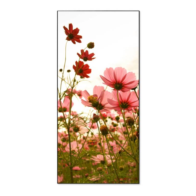 Banjado Magnettafel 37x78cm Magnetwand  Schwarz Aus Metall Magnetpinnwand Pinnwand Inkl. 4 Magnete Motiv Schmuckkörbchen von Banjado