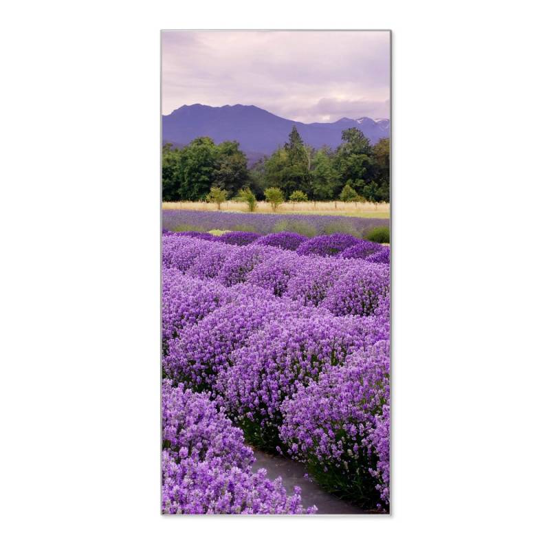 Banjado Magnettafel 37x78cm Magnetwand  Silber Aus Metall Magnetpinnwand Pinnwand Inkl. 4 Magnete Motiv Lavendel 1 von Banjado