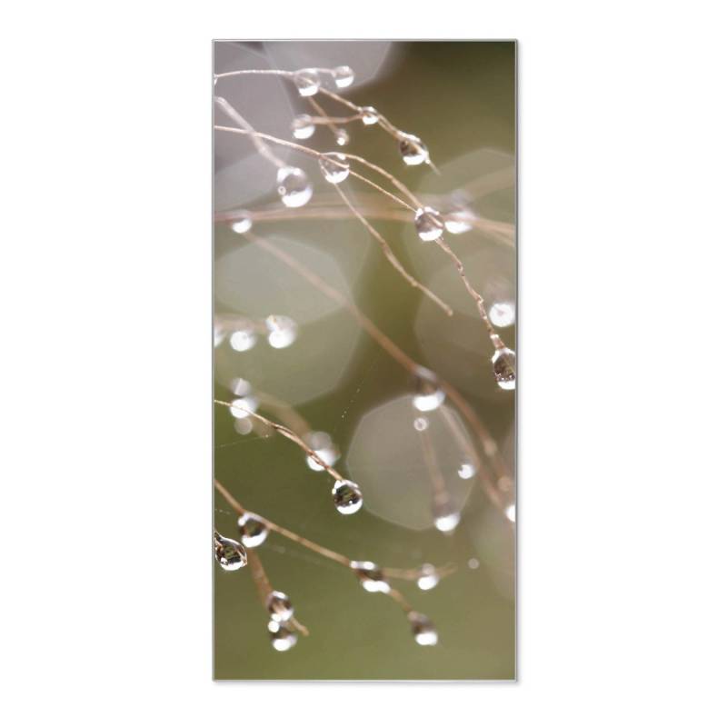 Banjado Magnettafel 37x78cm Magnetwand  Silber Aus Metall Magnetpinnwand Pinnwand Inkl. 4 Magnete Motiv Tau Auf Zweigen von Banjado