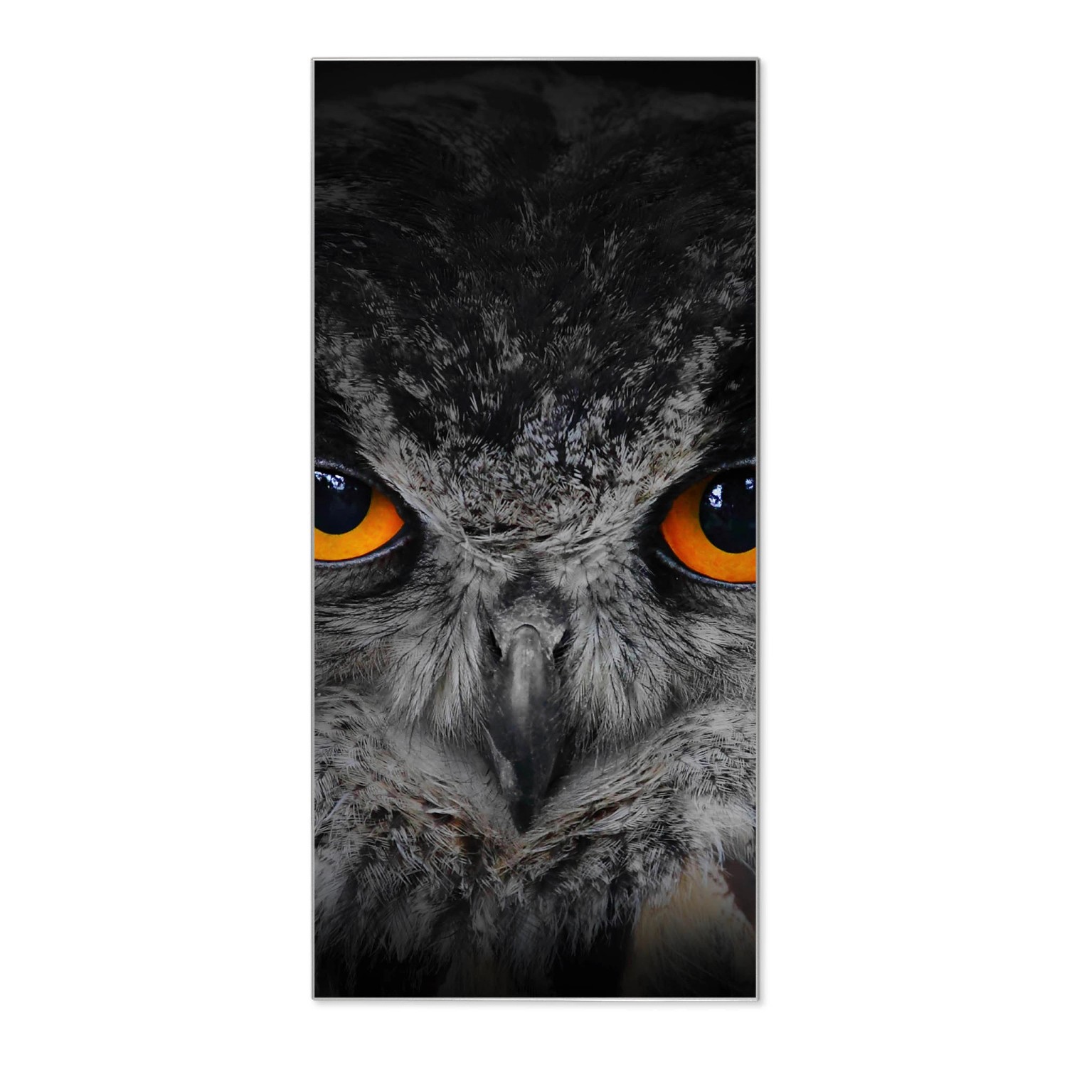 Banjado Magnettafel 37x78cm Magnetwand  Silber Aus Metall Magnetpinnwand Pinnwand Inkl. 4 Magnete Motiv Uhu von Banjado