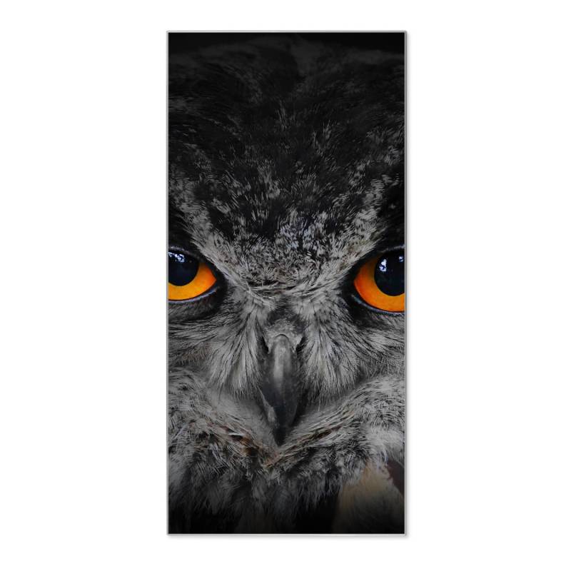 Banjado Magnettafel 37x78cm Magnetwand  Silber Aus Metall Magnetpinnwand Pinnwand Inkl. 4 Magnete Motiv Uhu von Banjado